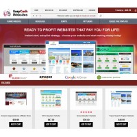 Established Websites Selling Business Script, Autopilot, Full Customization